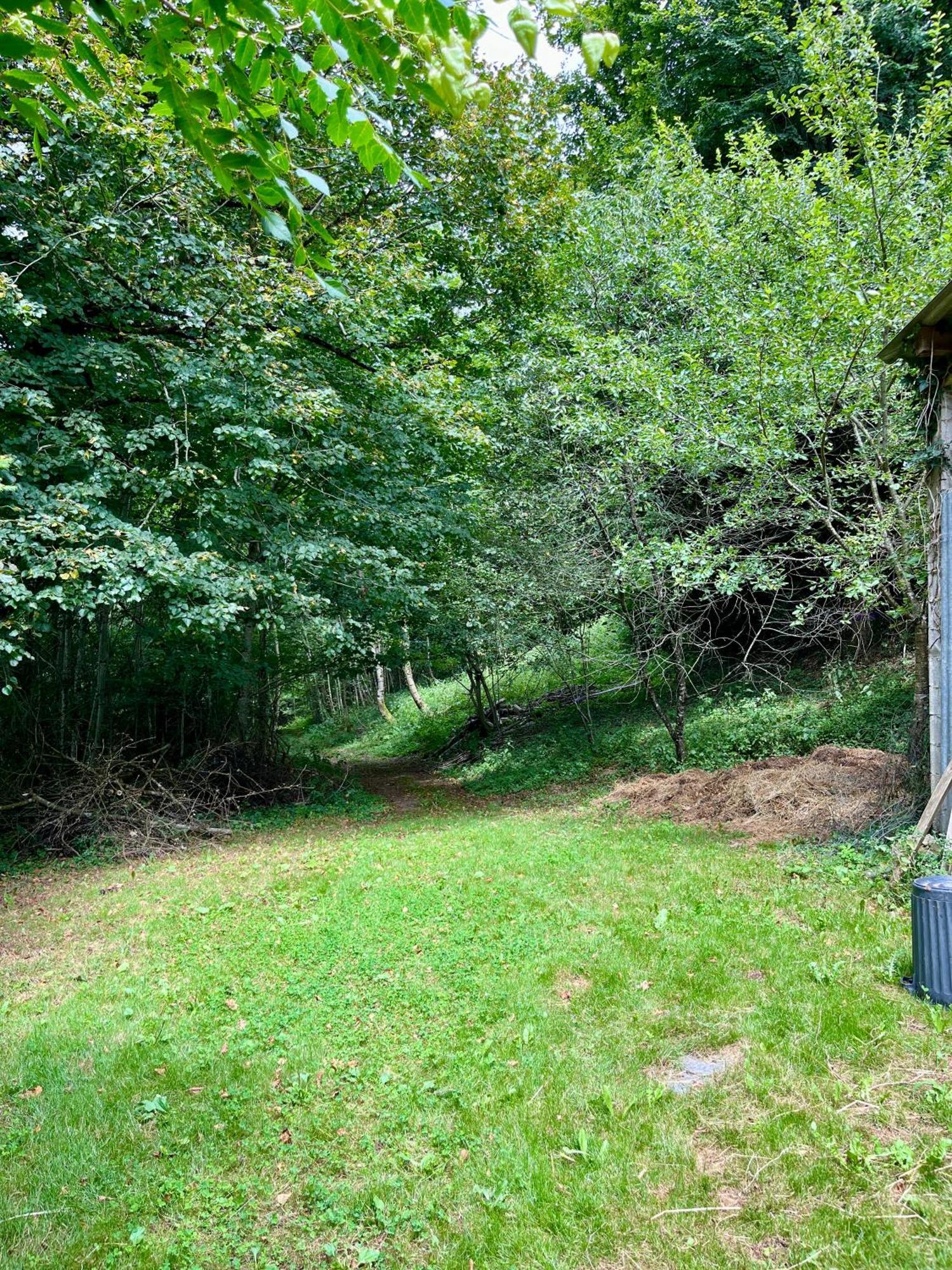 Parenthese En Foret - Lodge Baliveau Le Bez  Extérieur photo